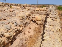 Yacimiento de Villaricos 2012